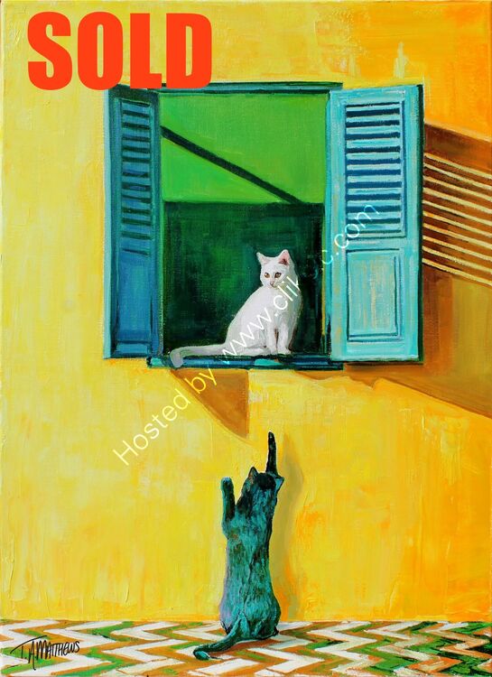 Where for art thou Romeow?