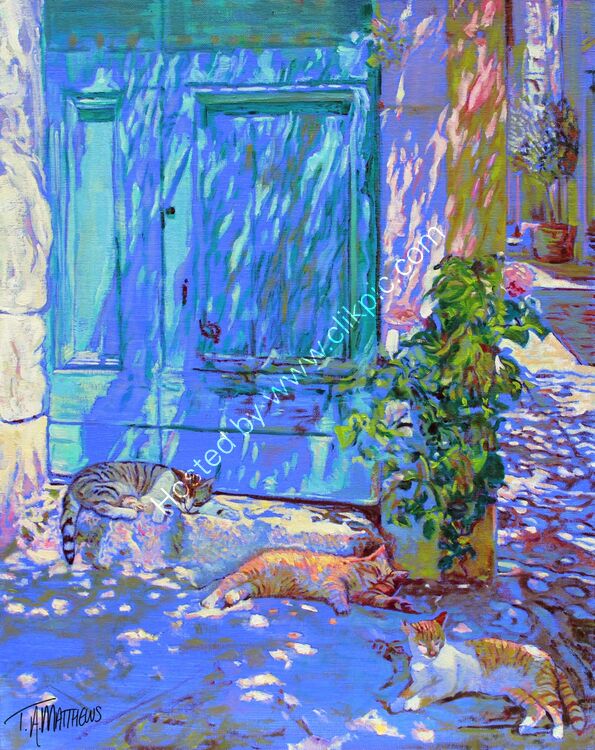 Kittys in Provence #1
