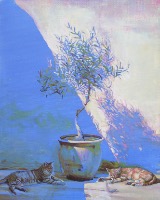 Cats - Latest & currently available works