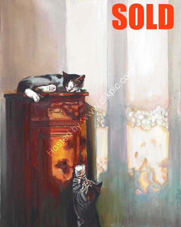 Sunset kittens