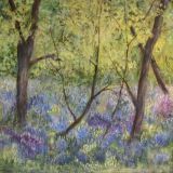 Bluebell Wood