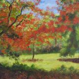 Branch in Westonbirt