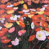 Poppies