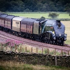 Royal Stream Train
