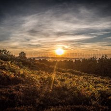 Sunset at Ford Moss