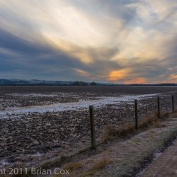 20110107-IMG 0313-Flanders Moss