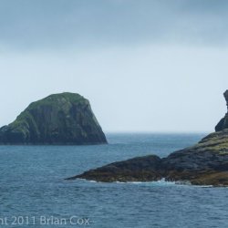 20110718-IMG 3085-Madadh Mòr, Uibhist a Tuath