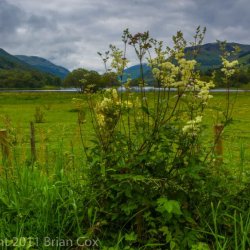 20110720-IMG 3318-Balquhidder