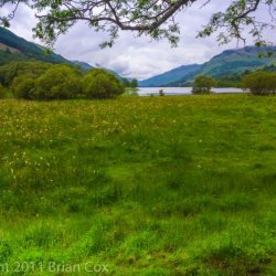20110720-IMG 3342-Balquhidder