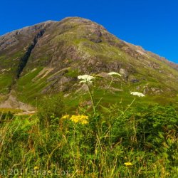 20110726-IMG 3485-Clachaig Gully, Glencoe