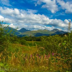 20110803-IMG 3617-Dail Rìgh