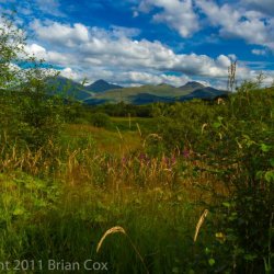 20110803-IMG 3618-Dail Rìgh