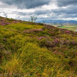 20110910-IMG 3789-Vane Hill, Loch Leven
