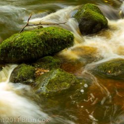 20110917-IMG 3854-Inchewan Burn, Birnam Glen