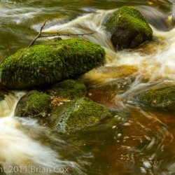 20110917-IMG 3855-Inchewan Burn, Birnam Glen