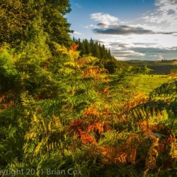 20110918-IMG 3910-Dunkeld