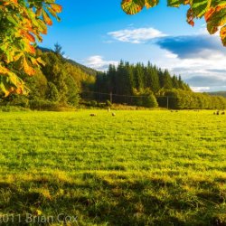 20110918-IMG 3920-Dunkeld