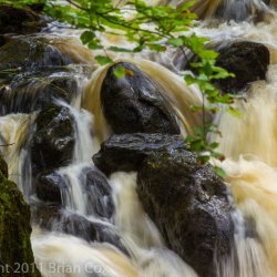 20110918-IMG 3964-River Braan, The Hermitage, Dunkeld