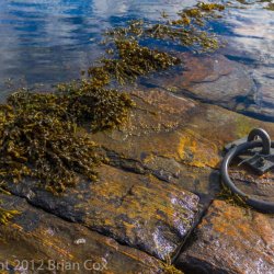 20120422-IMG 4859-Dornie