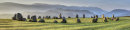 April Dawn Castlerigg