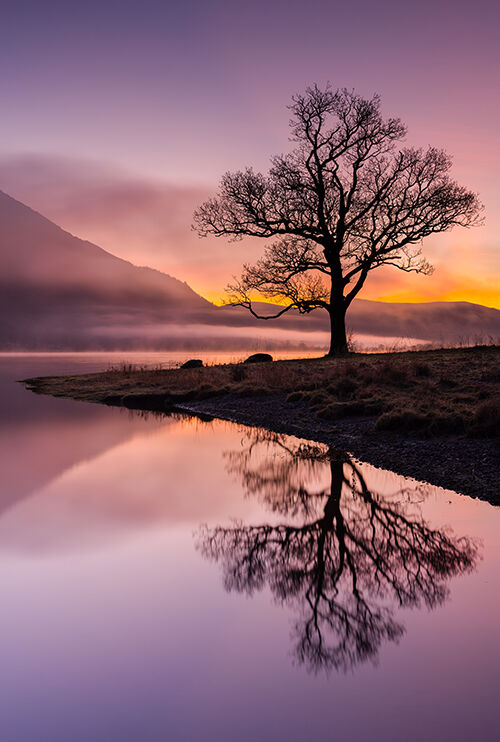 Hursthole Point Bassenthwaite