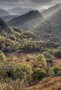 Castle Crag