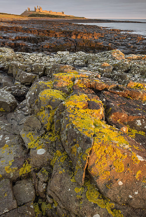 Dunstanburgh