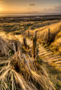 Evening Breeze Solway Coast