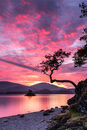 'Fire in the Sky' Otterbield Bay