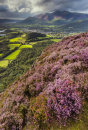 Keswick from Walla Crag