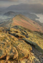 Late March Cat Bells