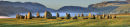 Mid Summer Castlerigg
