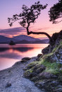 Otterbield Bay Derwent Water