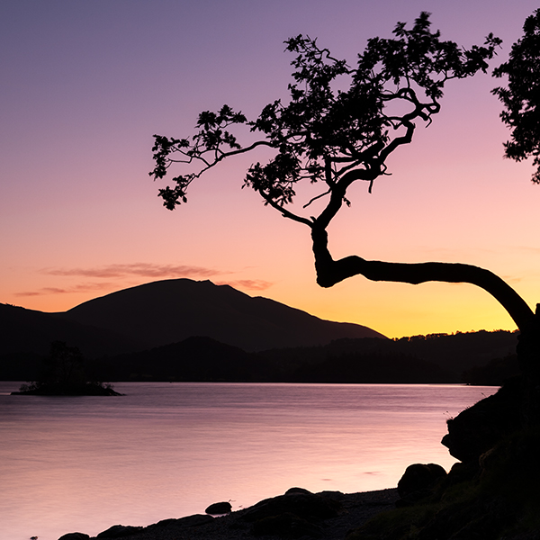 Otterbield Bay Sunrise