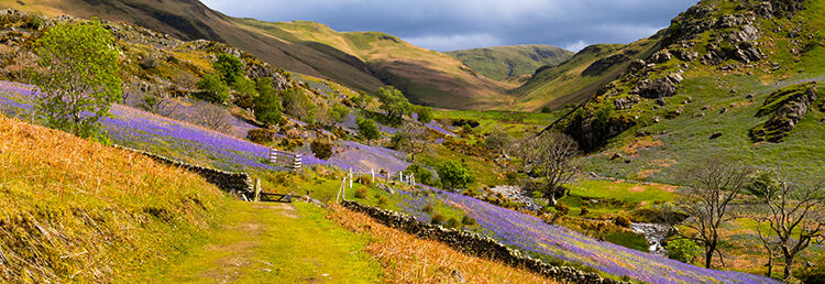 Path to Rannerdale