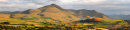 Skiddaw from Catlands Hill