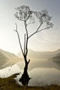 Spring Mist Buttermere