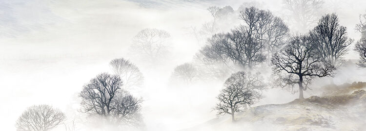 Thirlmere Mist