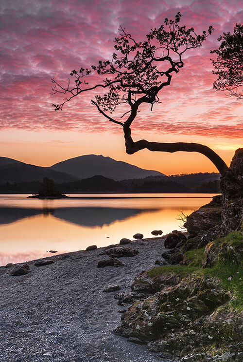 Dawn Otterbield Bay