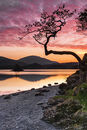 Dawn Otterbield Bay