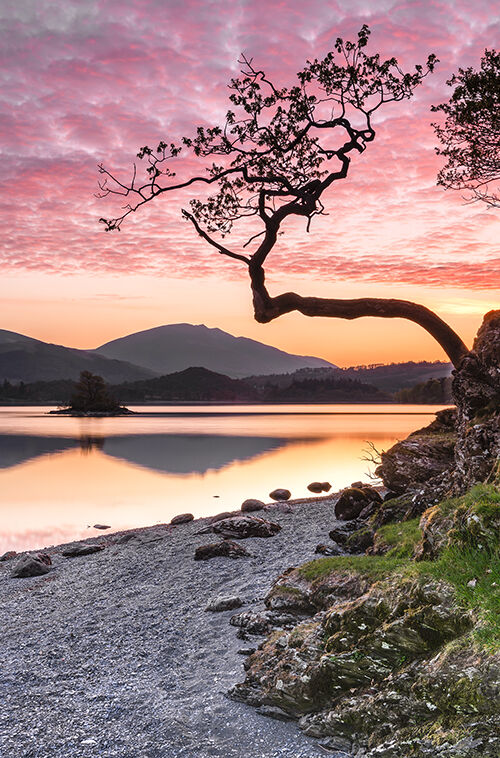 Dawn Otterbield Bay