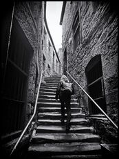 The Side steps, Newcastle