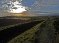 Harvest time at Barbury Castle