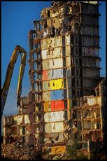 The colours of the rainbow...