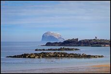 Bass Rock