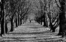 Grand Avenue, The Quinta.