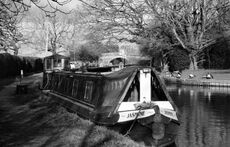 Sunlight thro' the trees, Macc Canal.