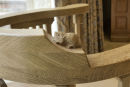 Hand made furniture