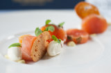 Salmon