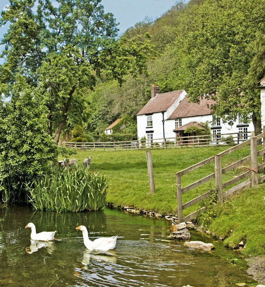 Duck Pond, Stable Cottage